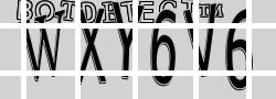 Retype the CAPTCHA code from the image